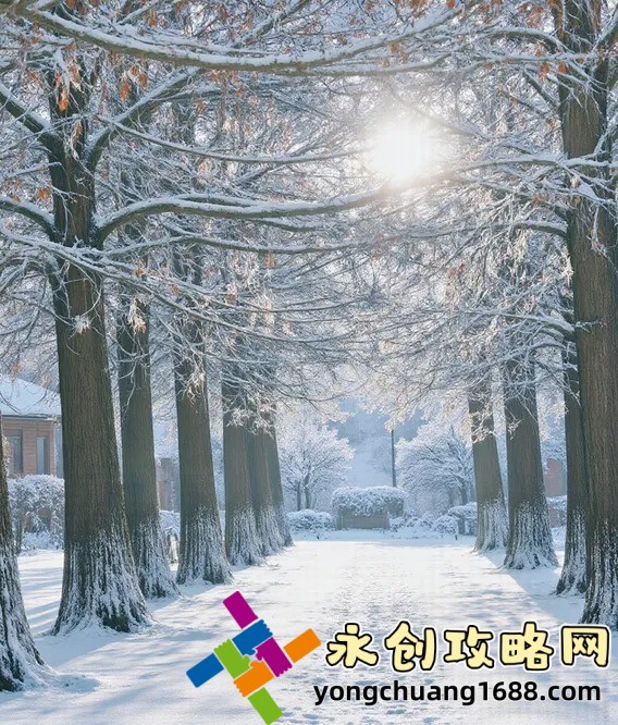 國產(chǎn)永久精品大片wwwApp：揭秘如何輕松打造你的私人影院！