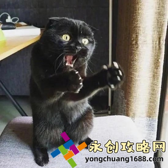 如何通過(guò)Hp雙蛇實(shí)現(xiàn)全新體驗(yàn)？掌握這些技巧讓你事半功倍！