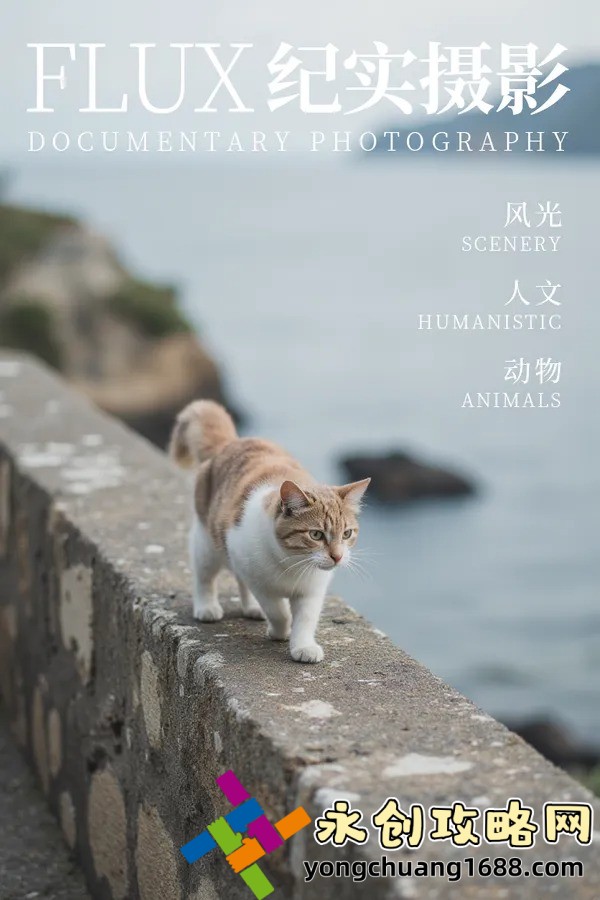 版保羅2的播放：如何找到最佳觀看途徑？